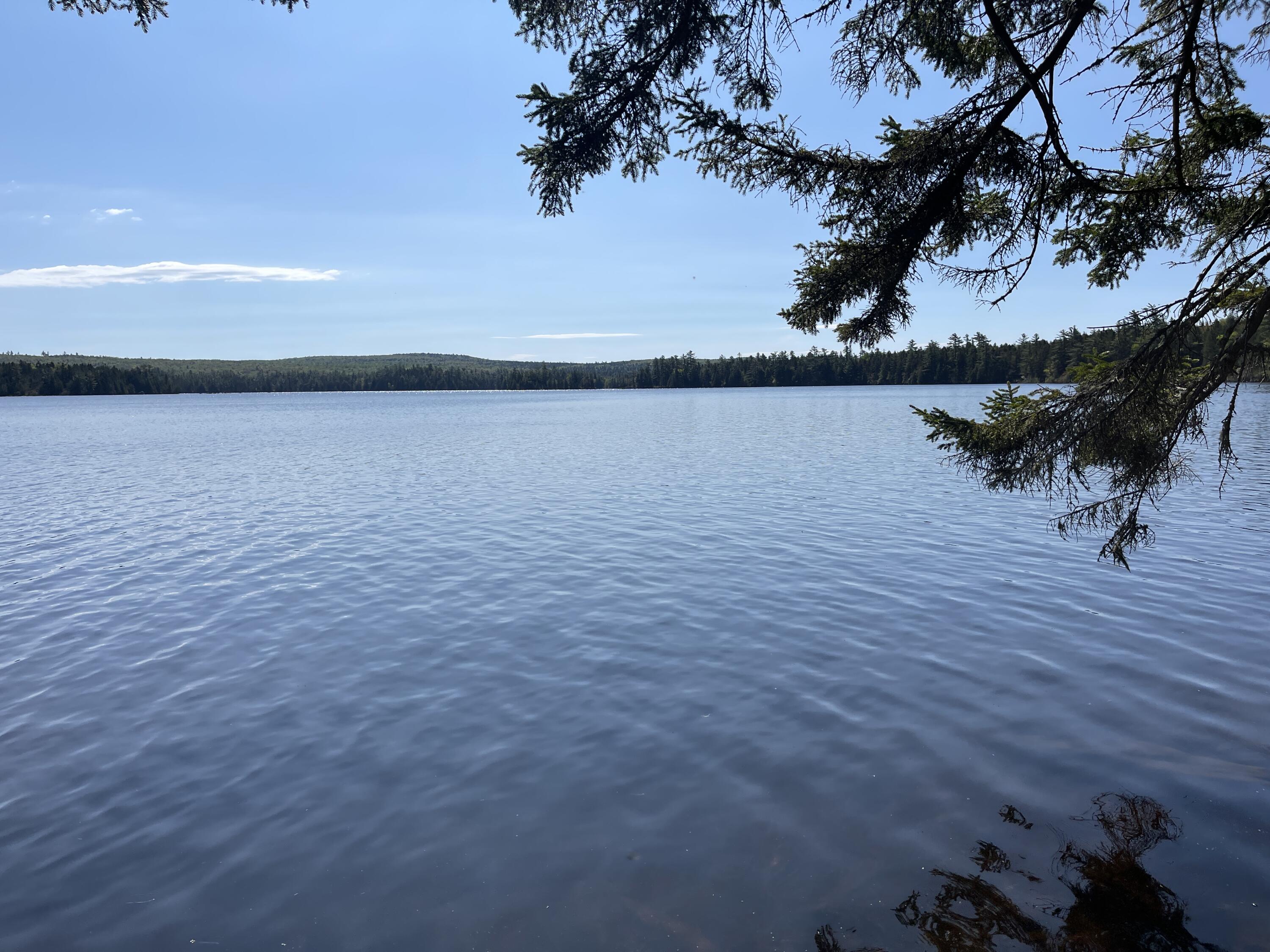 Lot 2 West Richardson Pond Road Oquossoc, ME 04964 - Photo 3 of 11 IMG_6721