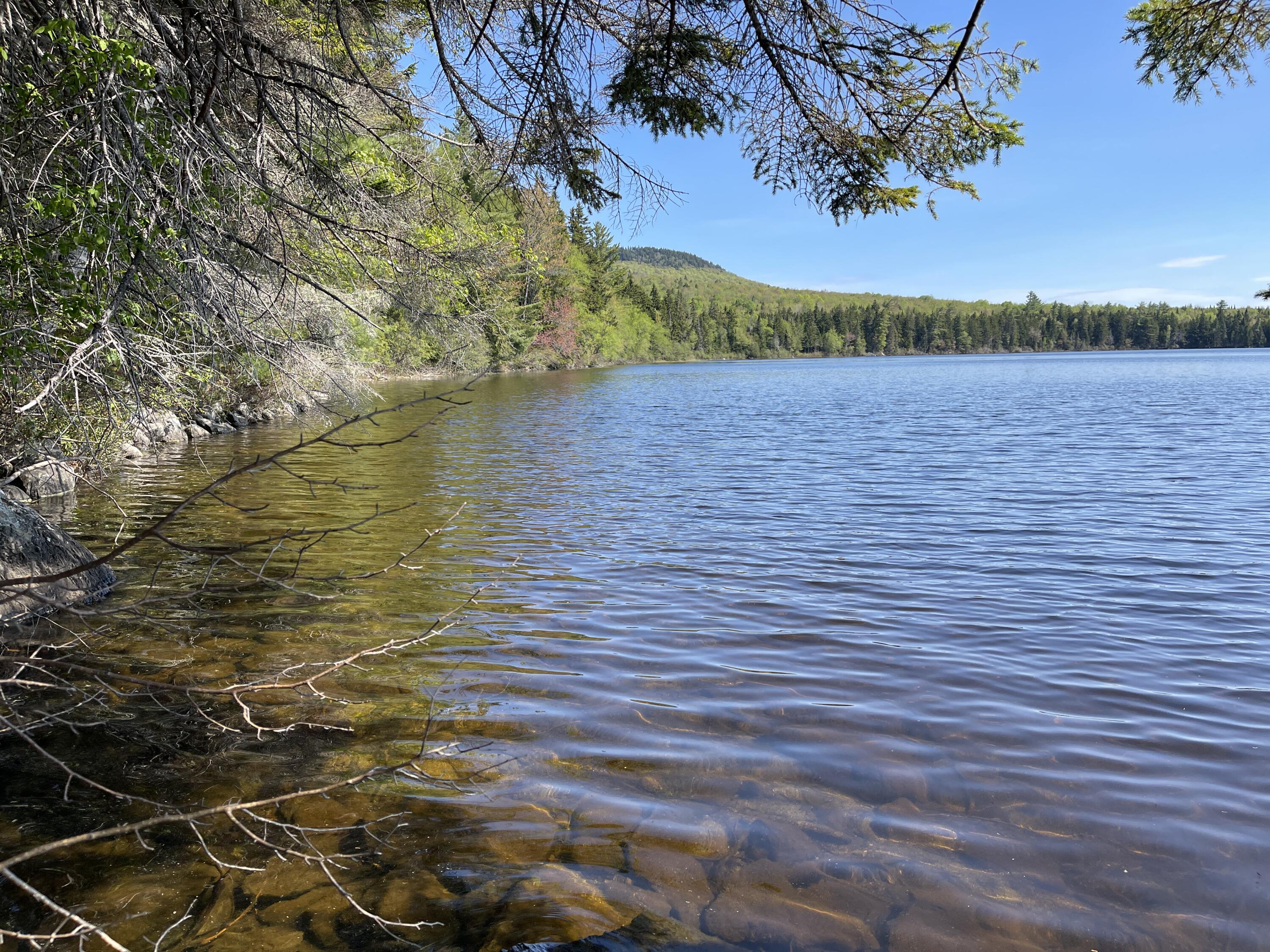 Lot 2 West Richardson Pond Road Oquossoc, ME 04964 - Photo 4 of 11 IMG_6722