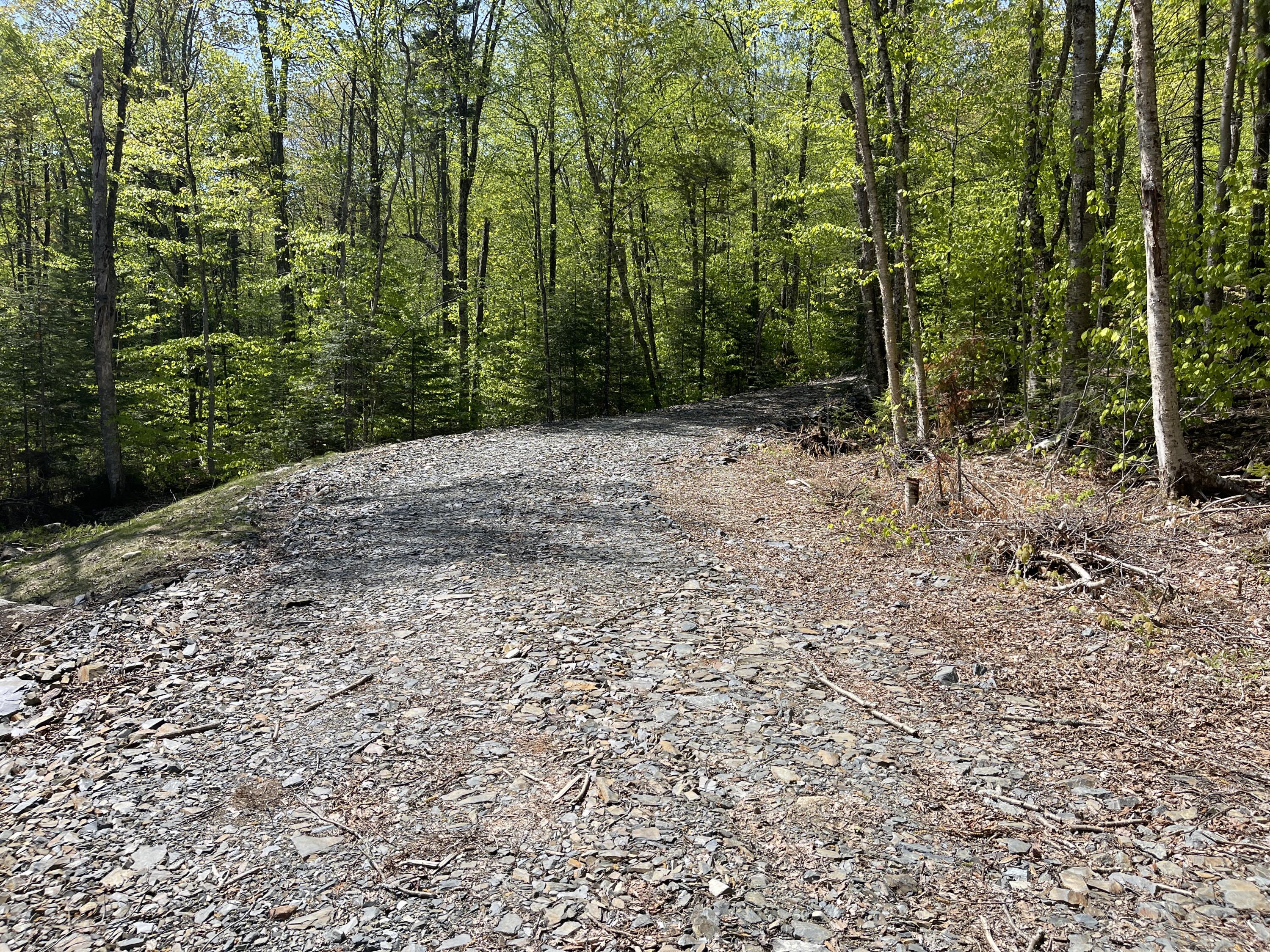 Lot 2 West Richardson Pond Road Oquossoc, ME 04964 - Photo 9 of 11 IMG_6727