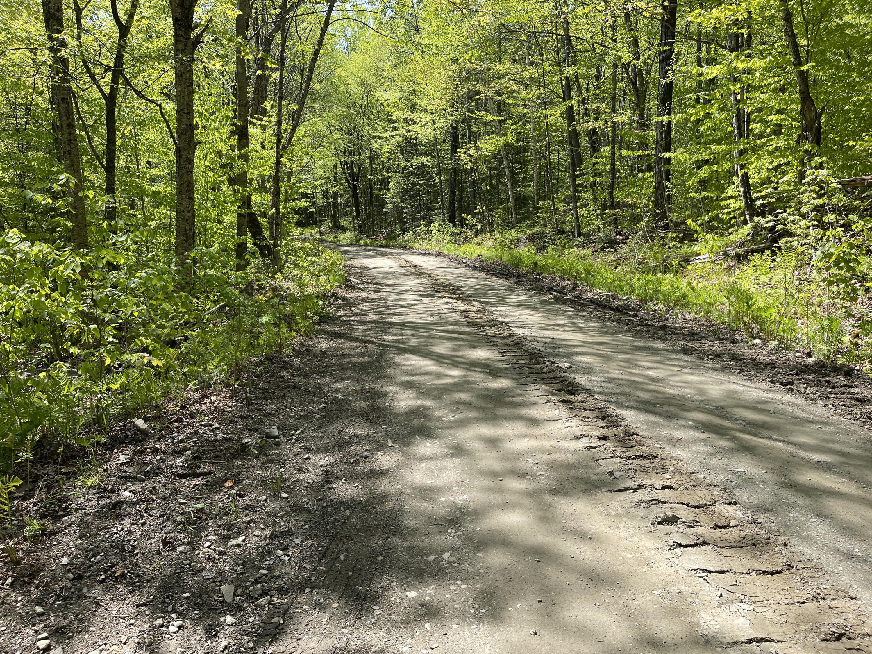 Lot 2 West Richardson Pond Road Oquossoc, ME 04964 - Photo 10 of 11 IMG_6728