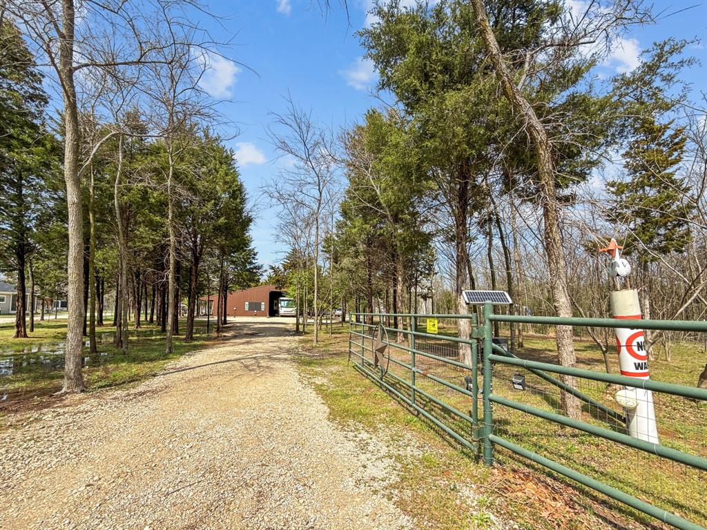 1477 Cedar Mills Road Gordonville, TX 76245 - Photo 12 of 21 View of street with a gated entry, a gate, and driveway