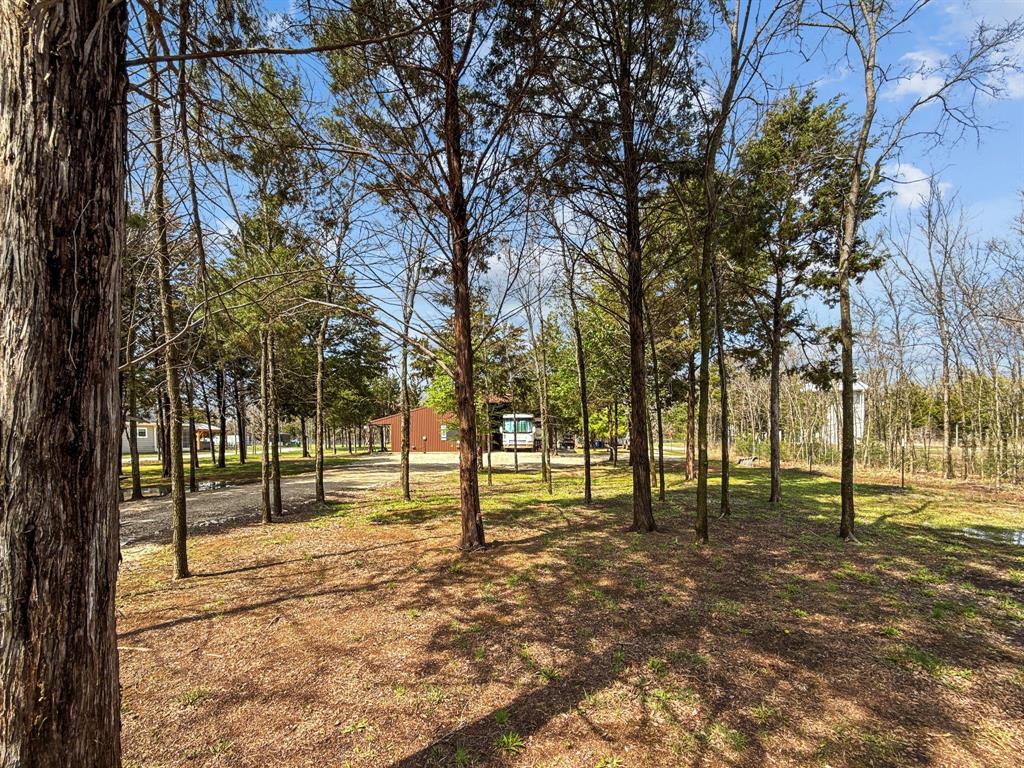 1477 Cedar Mills Road Gordonville, TX 76245 - Photo 14 of 21 View of yard