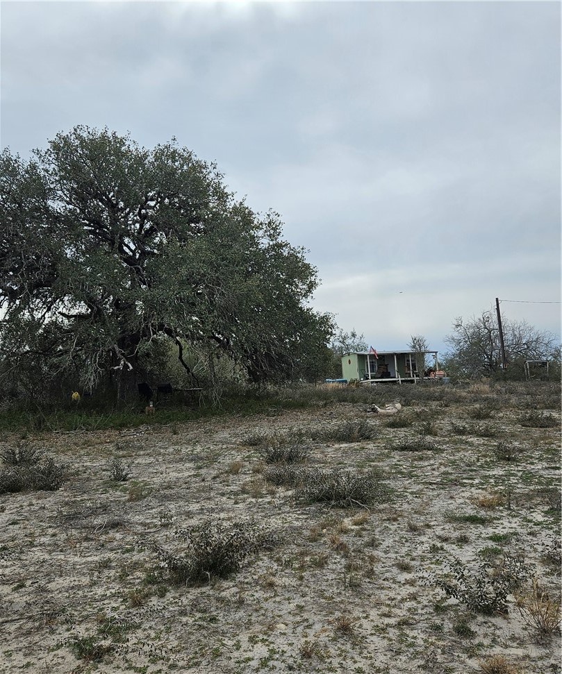 1828 Farm To Market 534 Mathis, TX 78368 - Photo 9 of 12