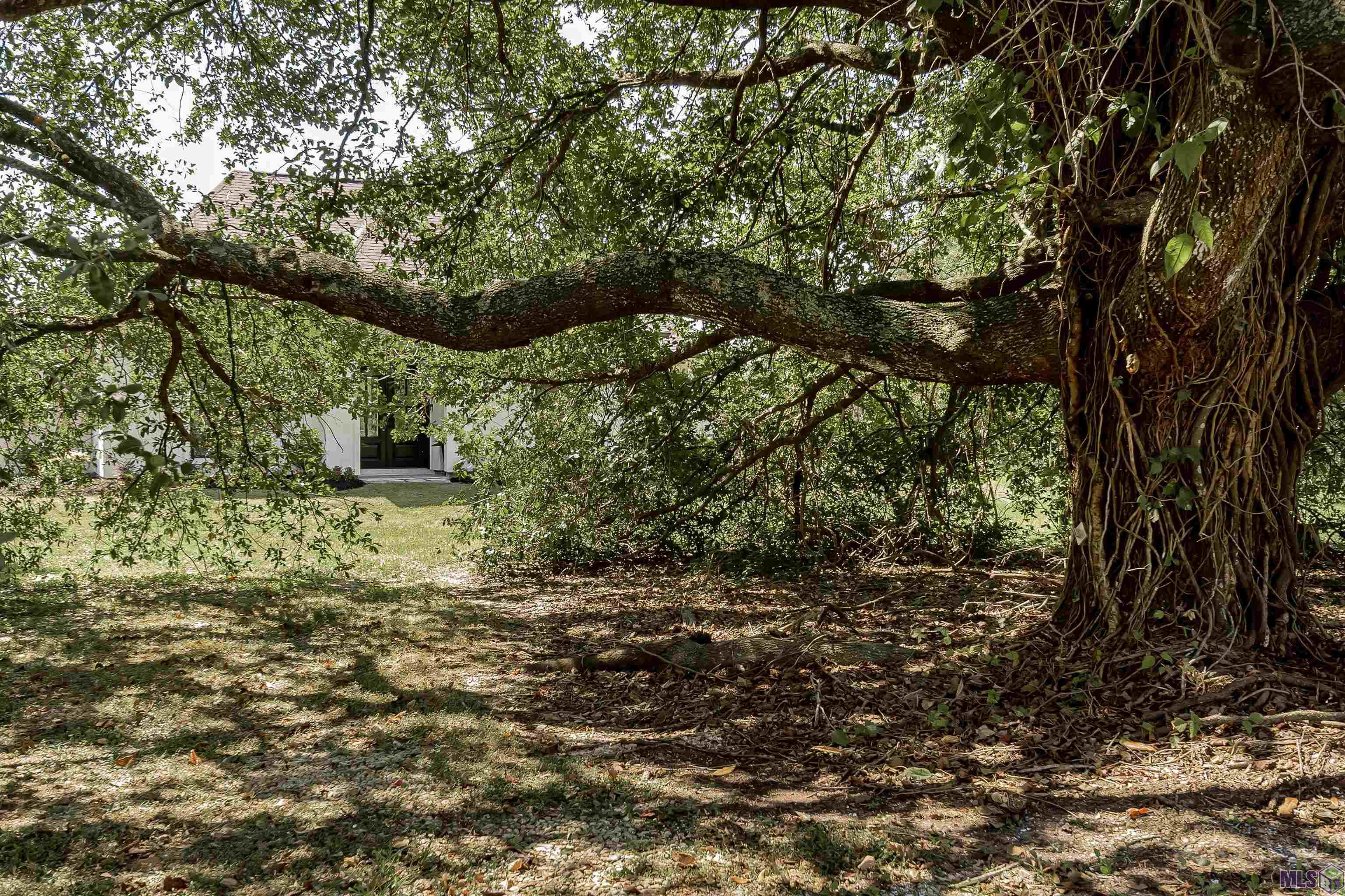 38327 Cornerview Road Gonzales, LA 70737 - Photo 38 of 43 Oaks