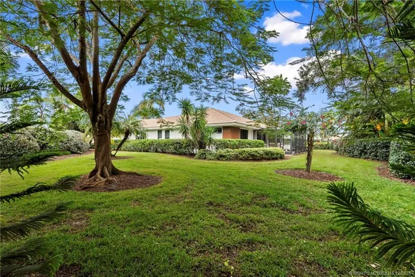 a garden with trees