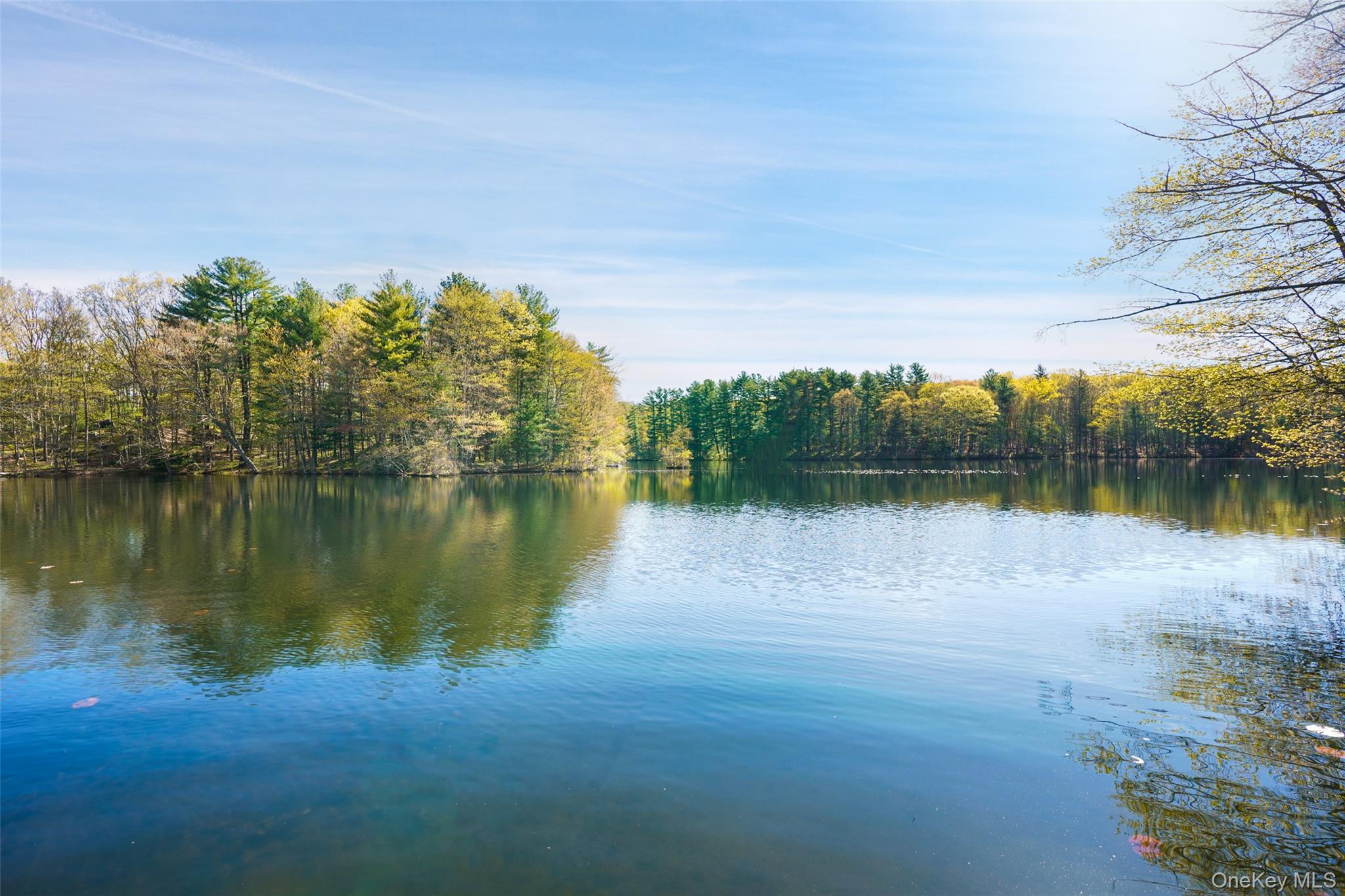 559 Pound Ridge Road Pound Ridge, NY 10576 - Photo 20 of 21 a view of a lake view