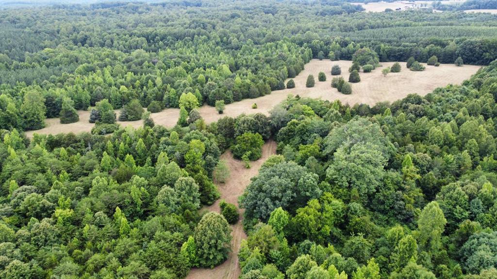 Bethel Road Phenix, VA 23959 - Photo 1 of 15 Gallery Image 1