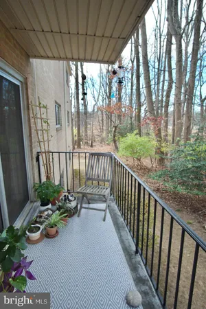 a view of a garden with chairs