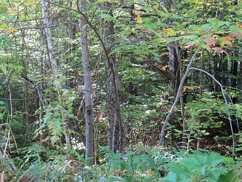 0 Marden Road Readfield, ME 04355 - Photo 5 of 7 Land/Lot.