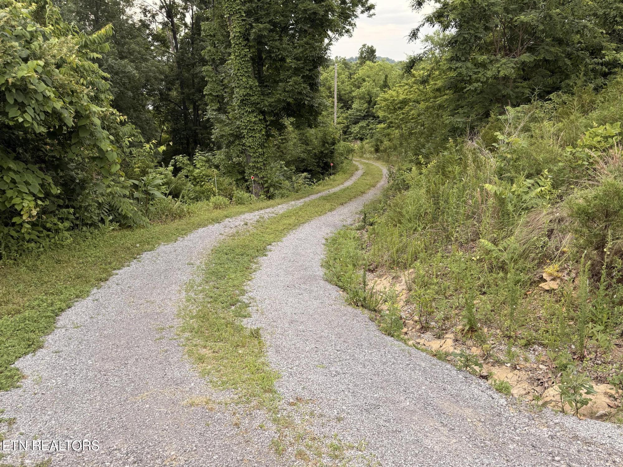 2760 Forest Ridge Road Dandridge, TN 37725 - Photo 32 of 32 IMG_3666