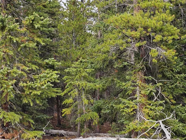 $69,000 | 100 Miners Way, Fairplay, CO 80440