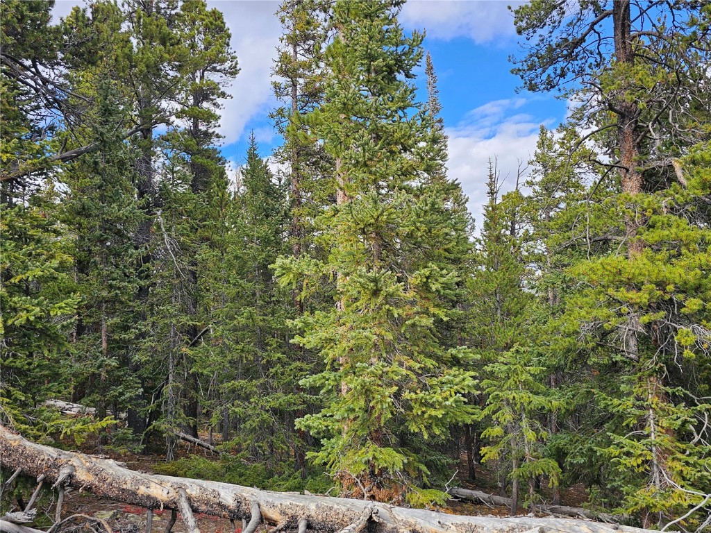 100 Miners Way Fairplay, CO 80440 - Photo 4 of 7