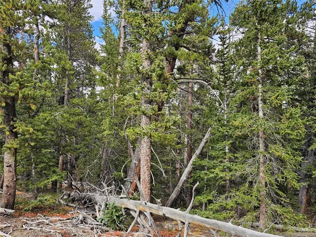 $69,000 | 100 Miners Way, Fairplay, CO 80440