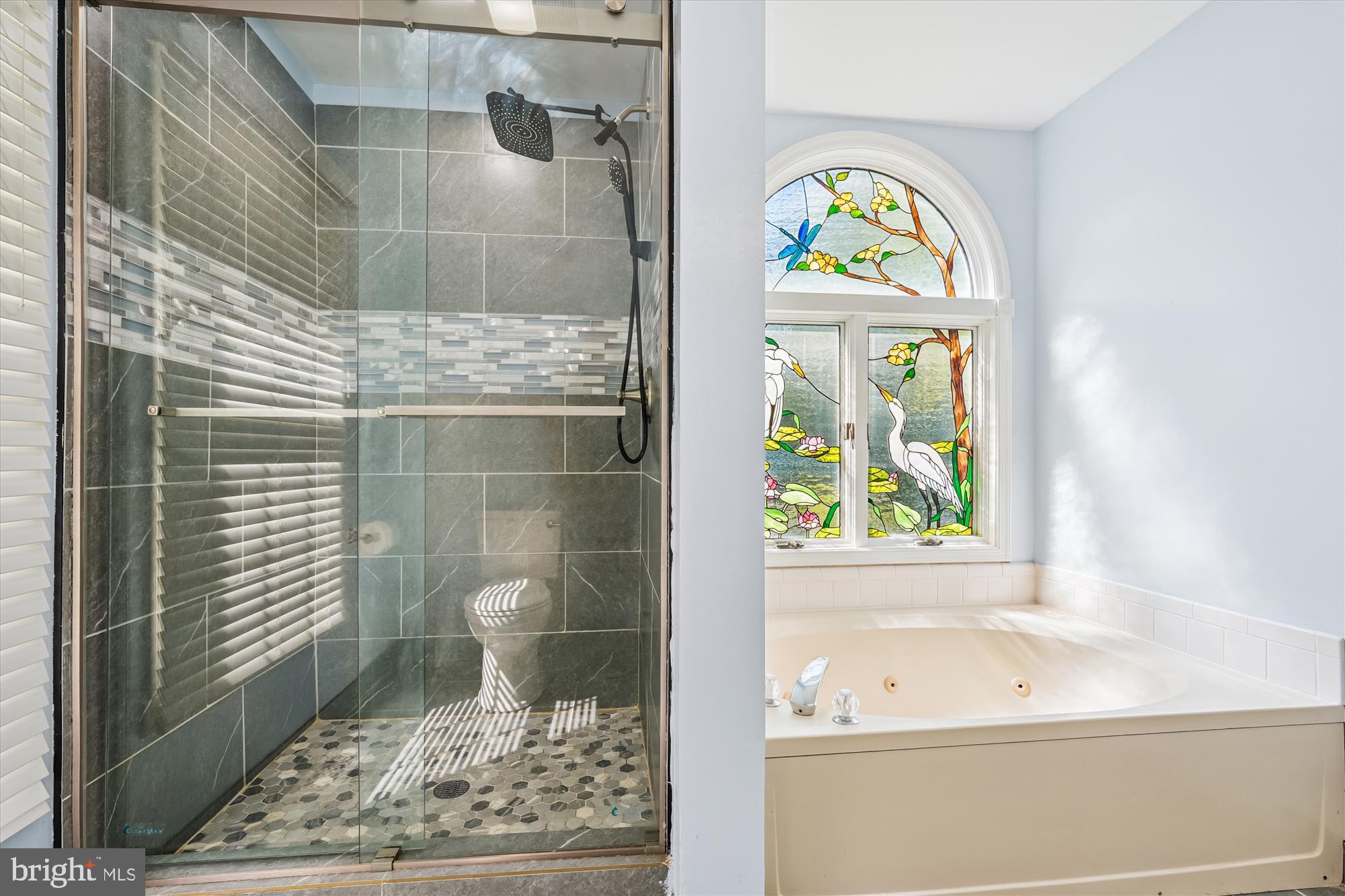 15418 Peach Orchard Road Silver Spring, MD 20905 - Photo 22 of 47 Jetted tub and shower.