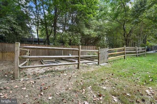 a view of a backyard with wooden fence and a large tree