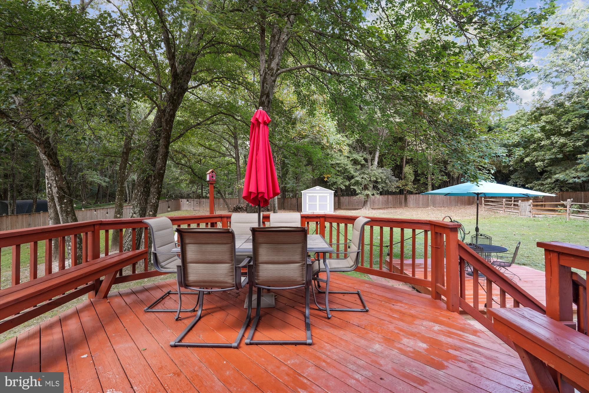 15418 Peach Orchard Road Silver Spring, MD 20905 - Photo 10 of 47 Serene deck surrounded by nature.