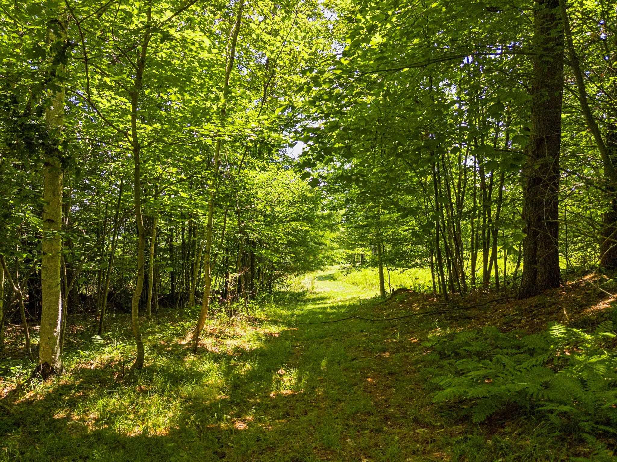 775-548 Sugar House Road Hartland, VT 05048 - Photo 53 of 60 Gallery Image 53