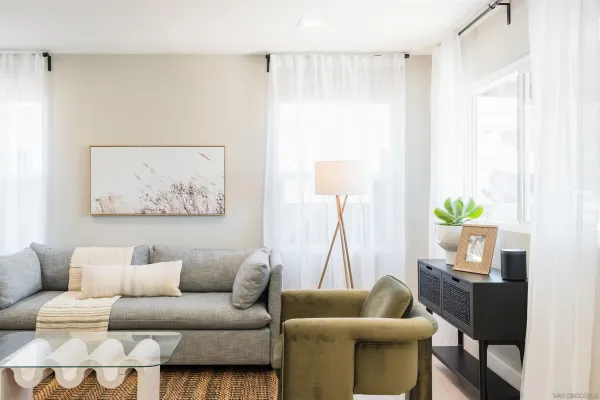 a living room with furniture and a potted plant
