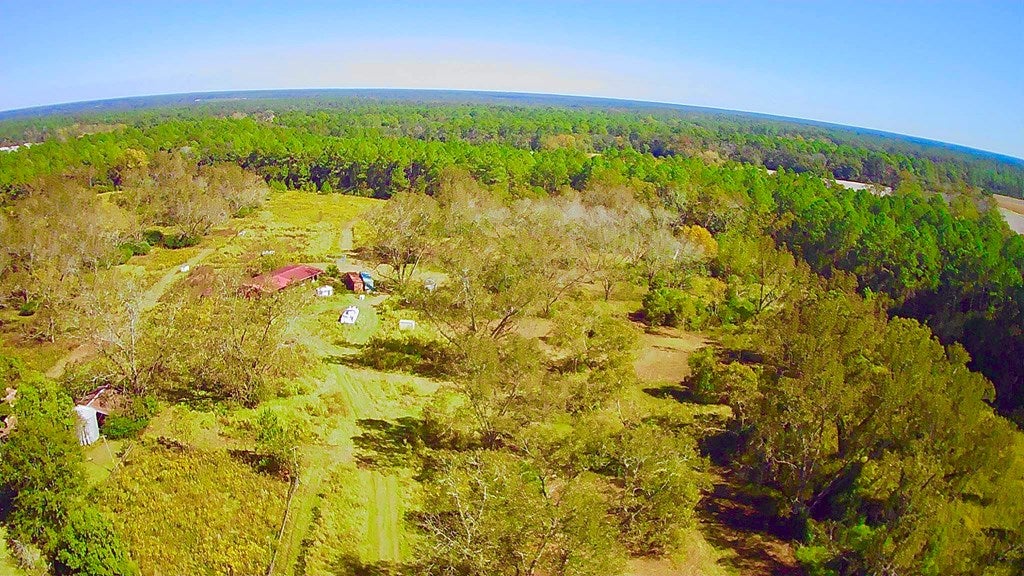 5236 Stewart Road Ochlocknee, GA 31773 - Photo 18 of 19 Gallery Image 18
