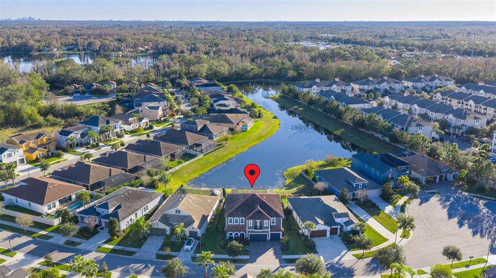 3708 Wicket Field Road Lutz, FL 33548 - Photo 56 of 61