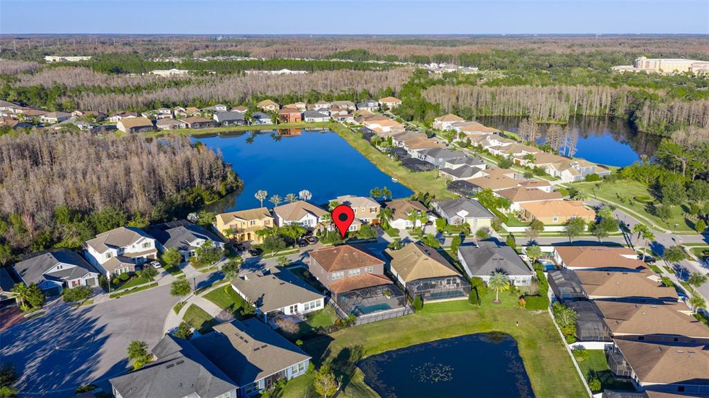 3708 Wicket Field Road Lutz, FL 33548 - Photo 58 of 61