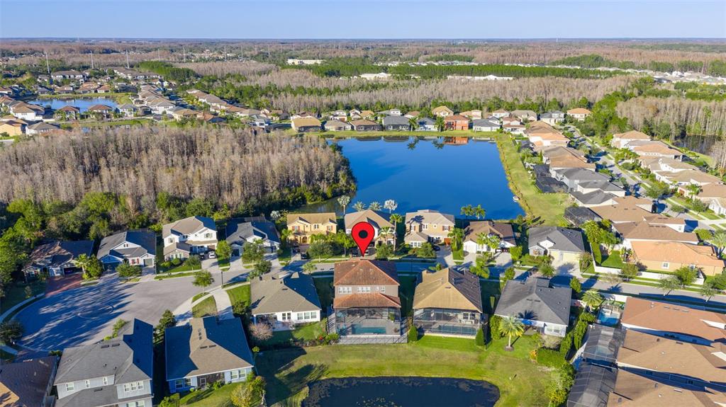 3708 Wicket Field Road Lutz, FL 33548 - Photo 59 of 61