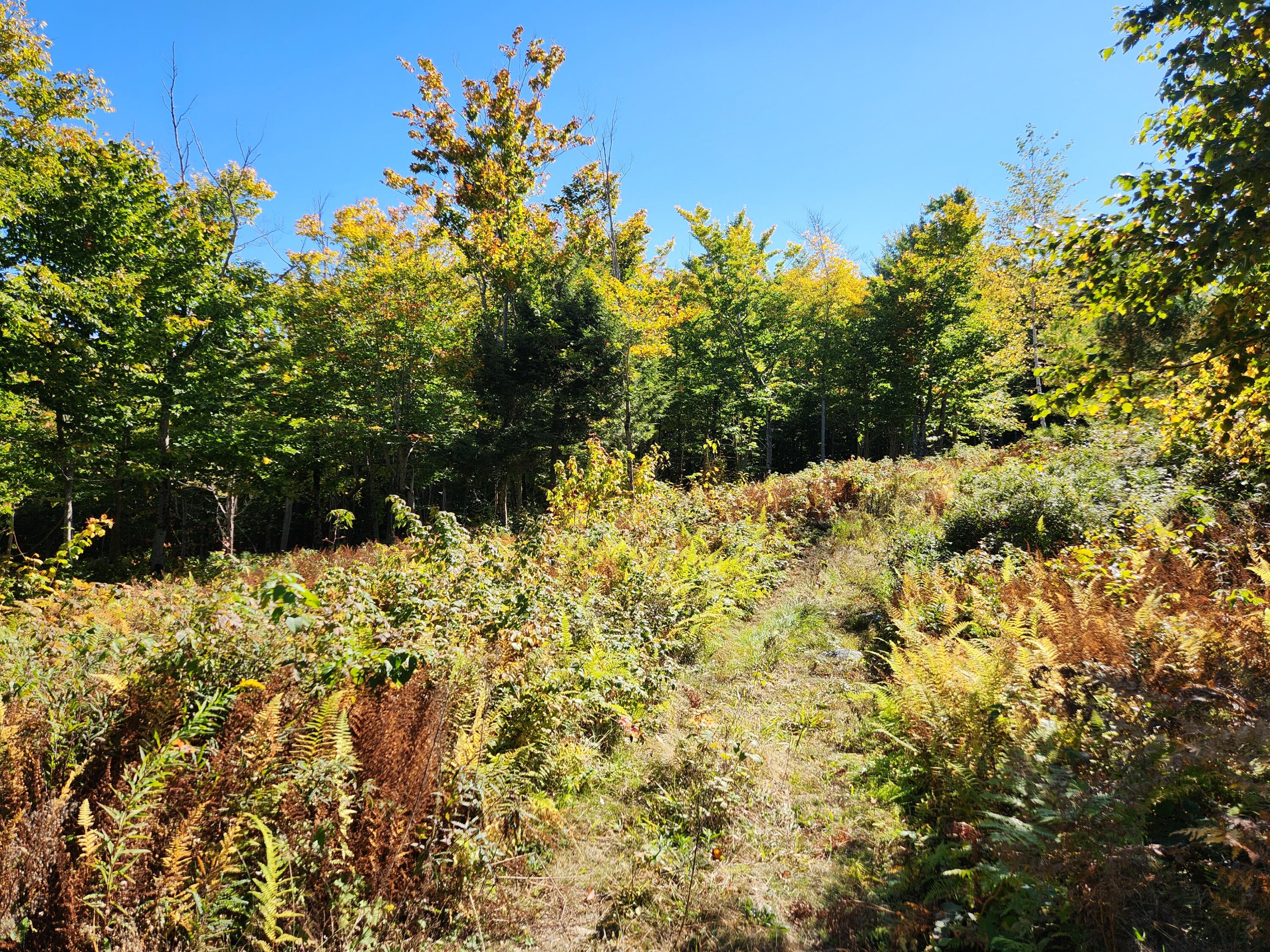 Lot 6-2 Old Elder Road Gray, ME 04039 - Photo 7 of 11 20241008_124548