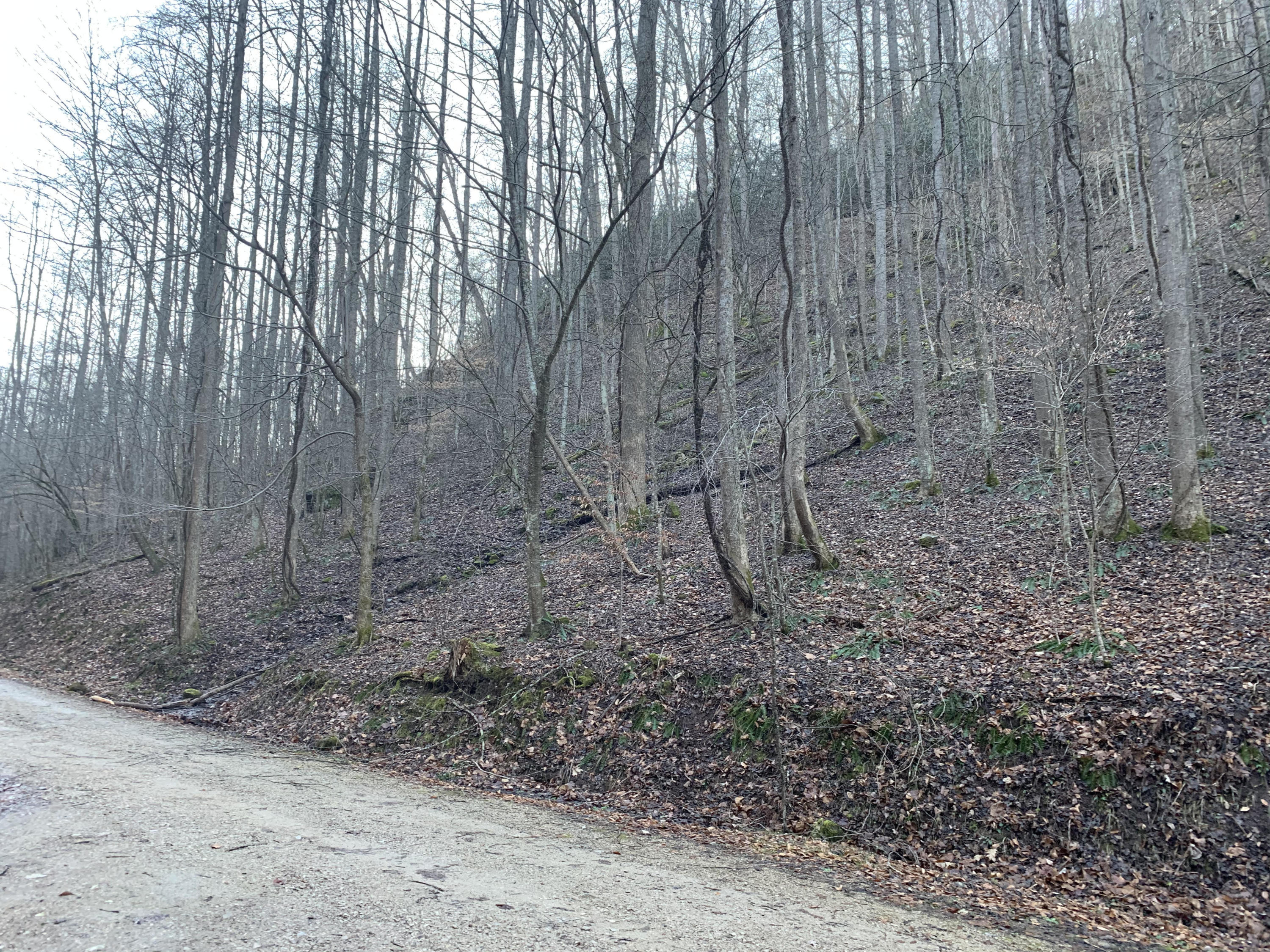 Tbd Canaan Road, Unit 3 Butler, TN 37640 - Photo 2 of 5 2