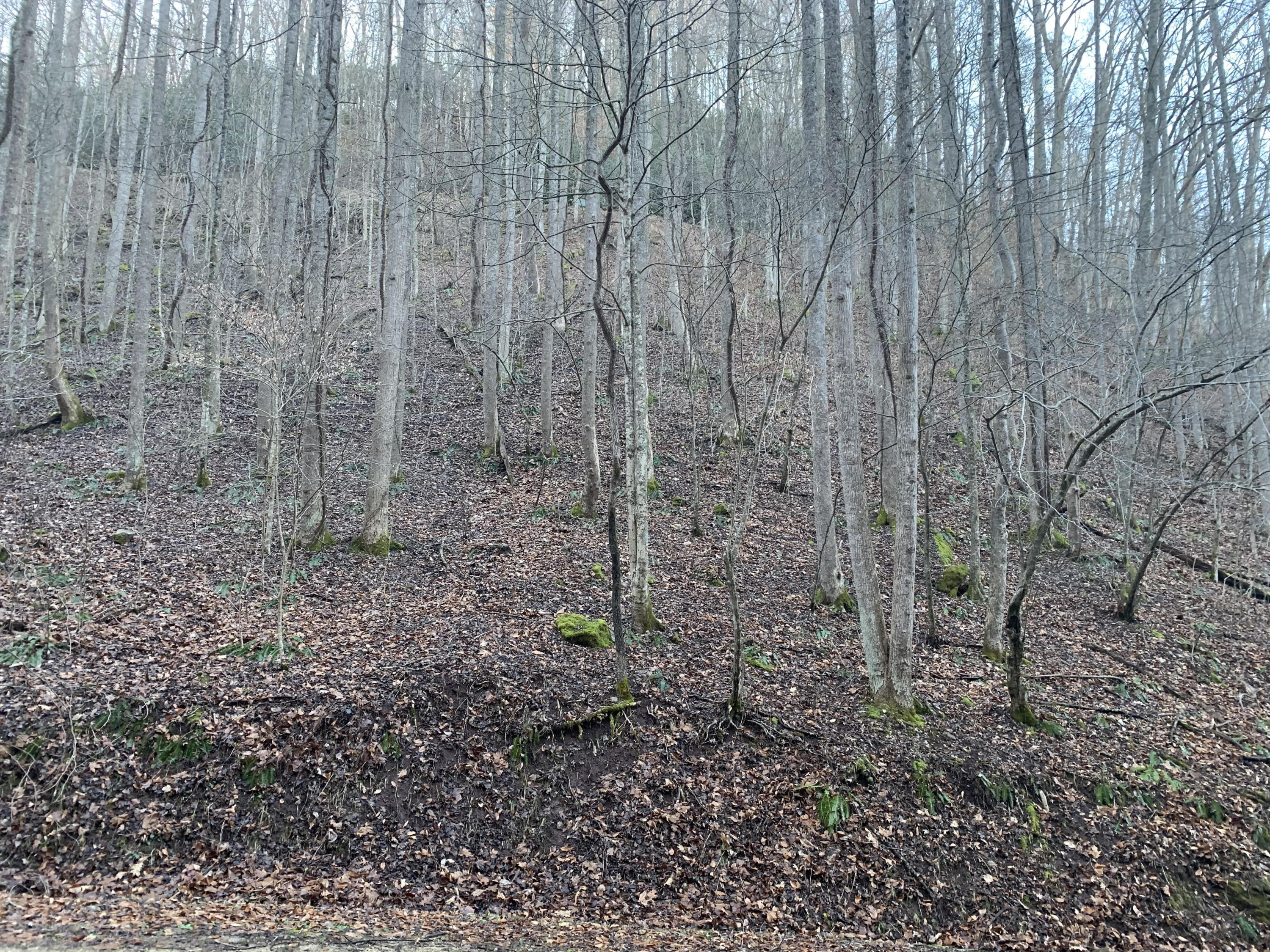 Tbd Canaan Road, Unit 3 Butler, TN 37640 - Photo 4 of 5 4