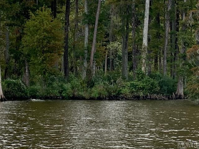 204 Nautical Way Edenton, NC 27932 - Photo 3 of 13 Gallery Image 3