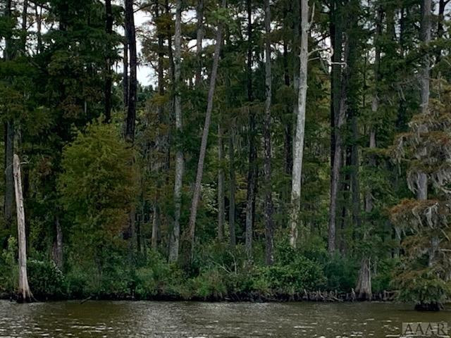 204 Nautical Way Edenton, NC 27932 - Photo 8 of 13 Gallery Image 8