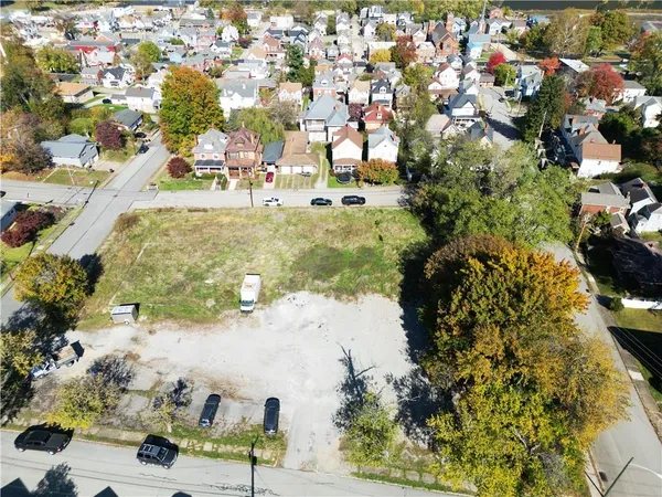 a view of a park with large trees