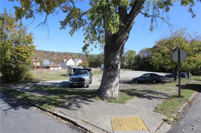 a view of a yard with a tree