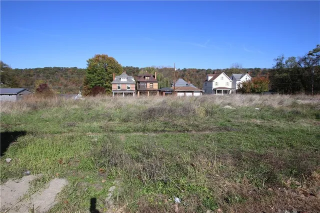 a view of a dry yard with trees