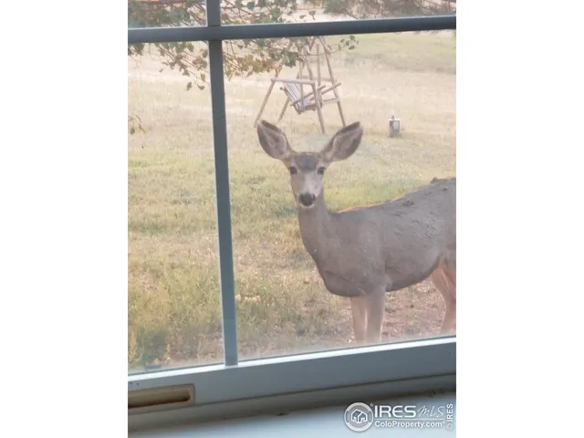 $925,000 | 3842 Banner Court, Parker, CO 80138