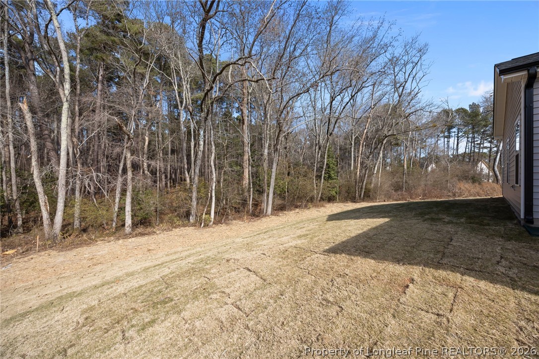 151 Michter Street Vass, NC 28394 - Photo 47 of 47