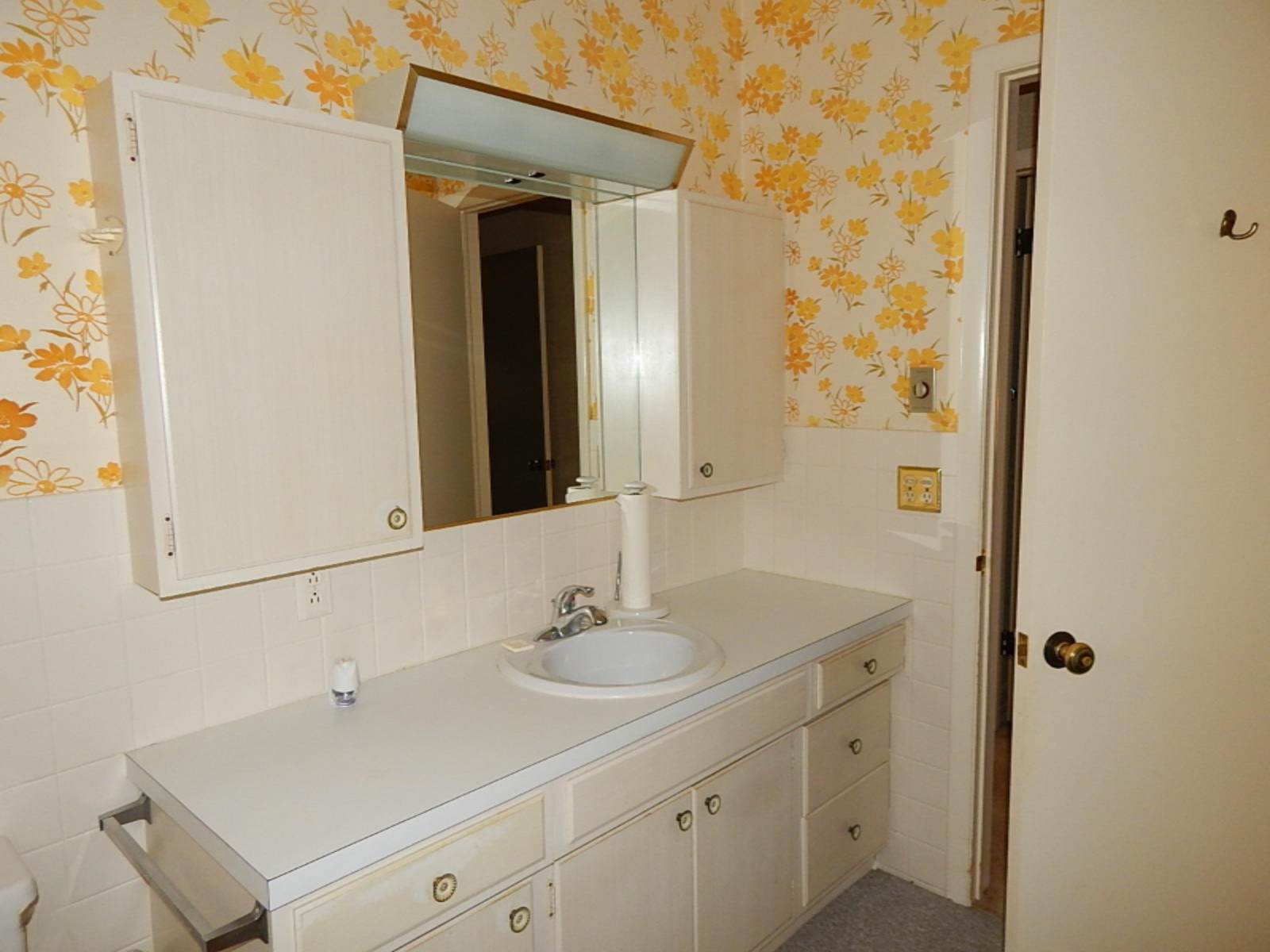 8269 Branch Road Orleans, MI 48865 - Photo 26 of 38 DSCN8576