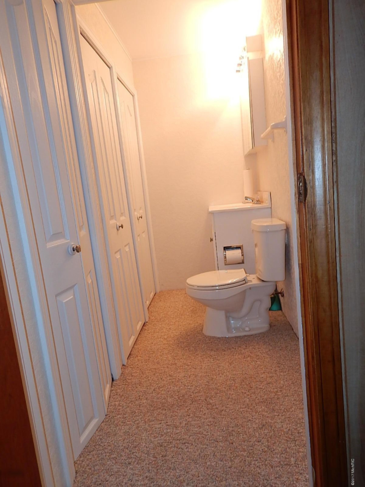 8269 Branch Road Orleans, MI 48865 - Photo 28 of 38 DSCN8597
