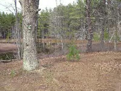 9750 West 7 Mile Road Irons, MI 49644 - Photo 1 of 2 Primary Photo