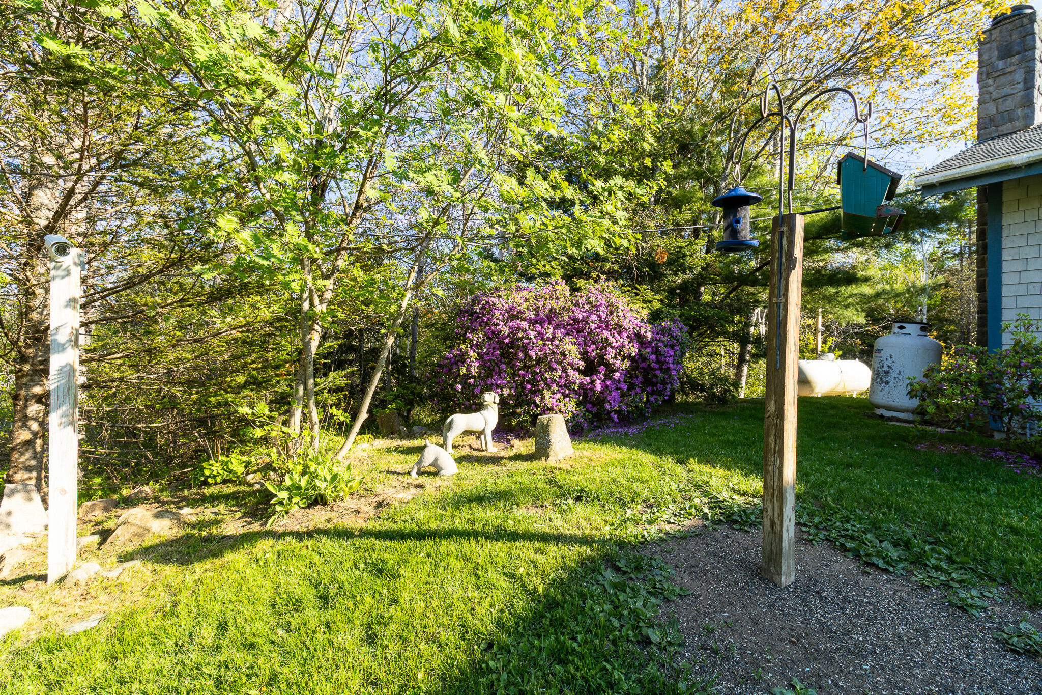 82 Station Road Jonesboro, ME 04648 - Photo 58 of 103 Front of House Landscaping