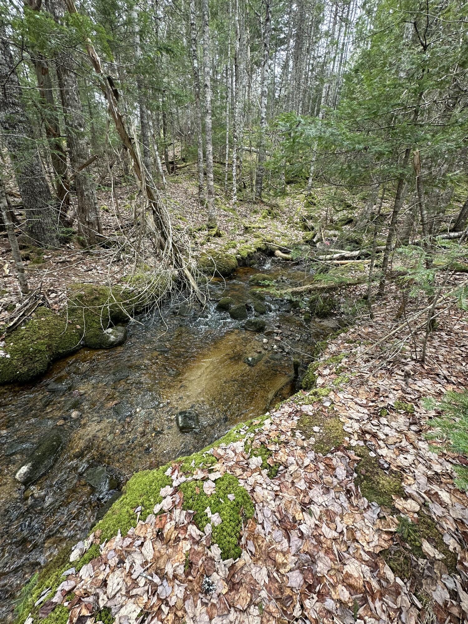 82 Station Road Jonesboro, ME 04648 - Photo 87 of 103 Brook- Just behind the house