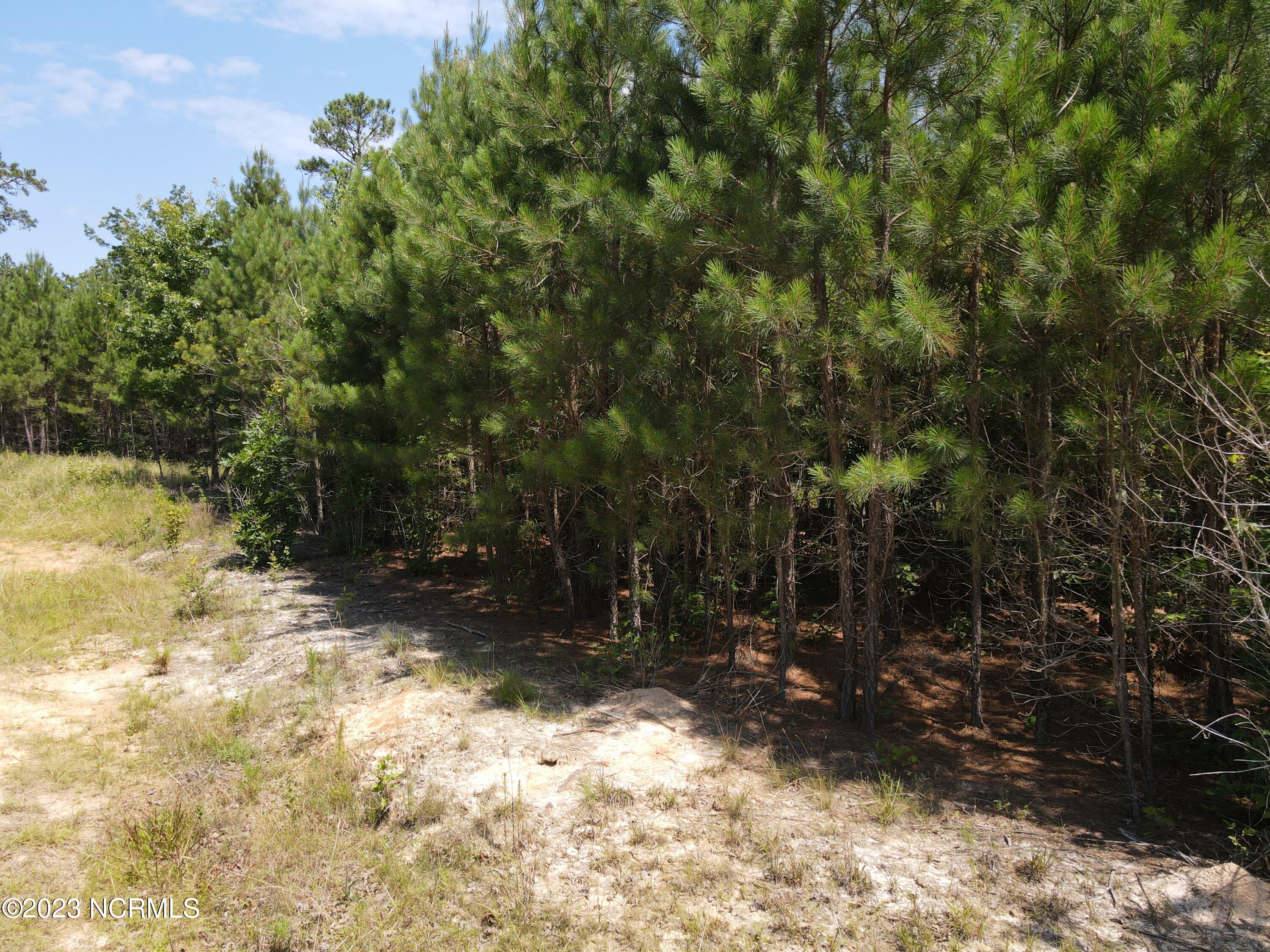 472 Eaton Ferry Road Littleton, NC 27850 - Photo 22 of 86 EFR 6