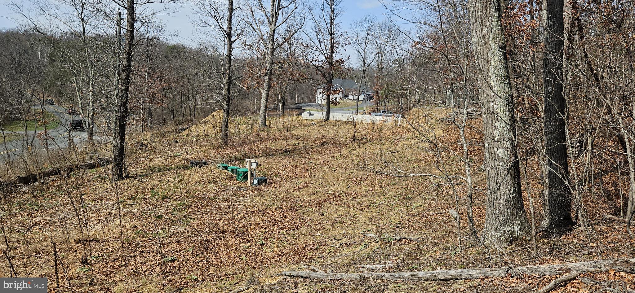 1079 Gun Club Road Stephenson, VA 22656 - Photo 12 of 33