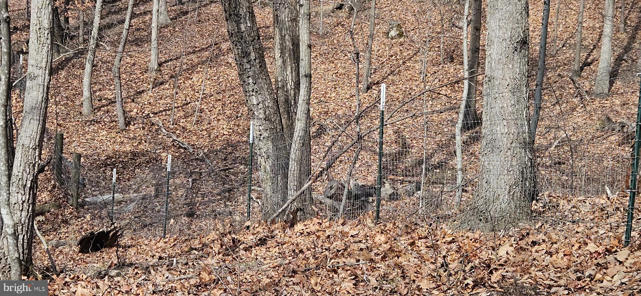 1079 Gun Club Road Stephenson, VA 22656 - Photo 17 of 33