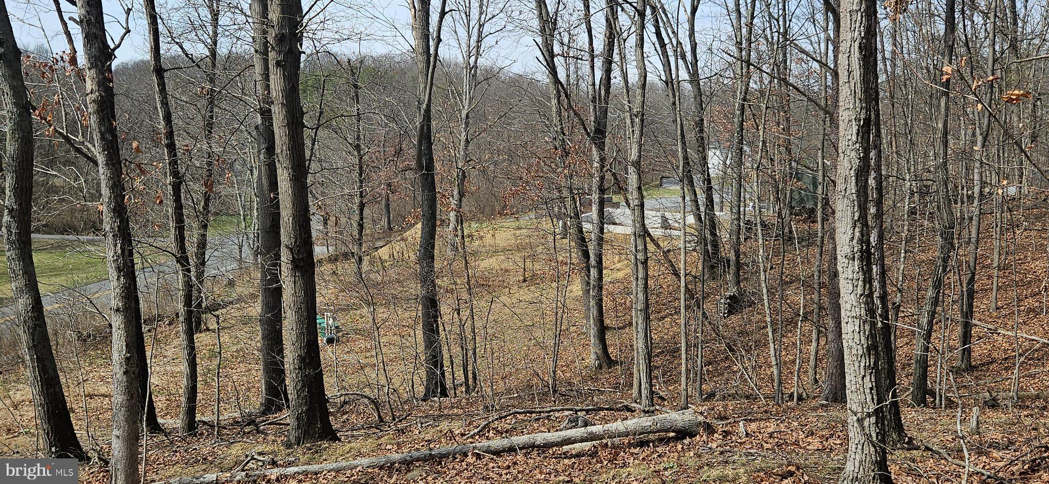 1079 Gun Club Road Stephenson, VA 22656 - Photo 18 of 33