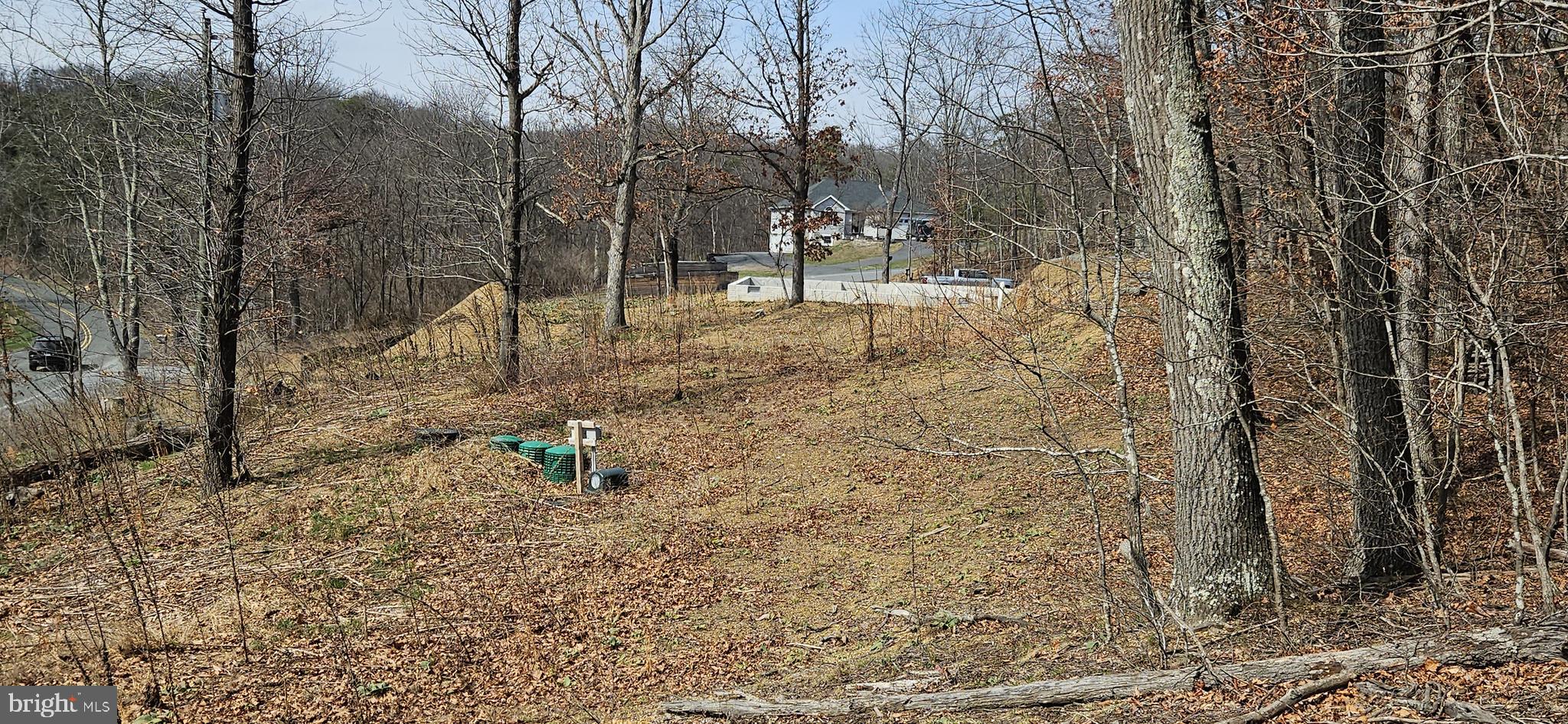 1079 Gun Club Road Stephenson, VA 22656 - Photo 19 of 33