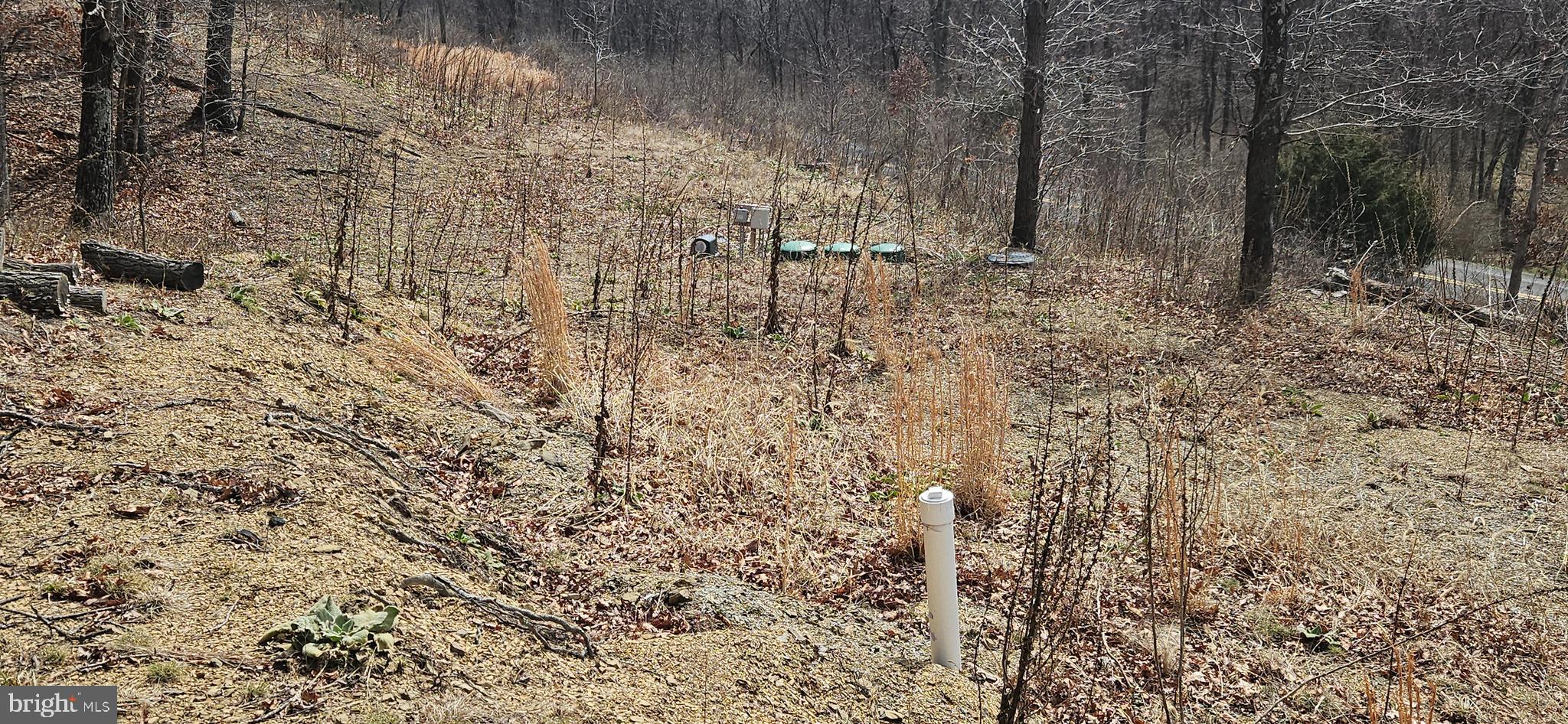 1079 Gun Club Road Stephenson, VA 22656 - Photo 20 of 33