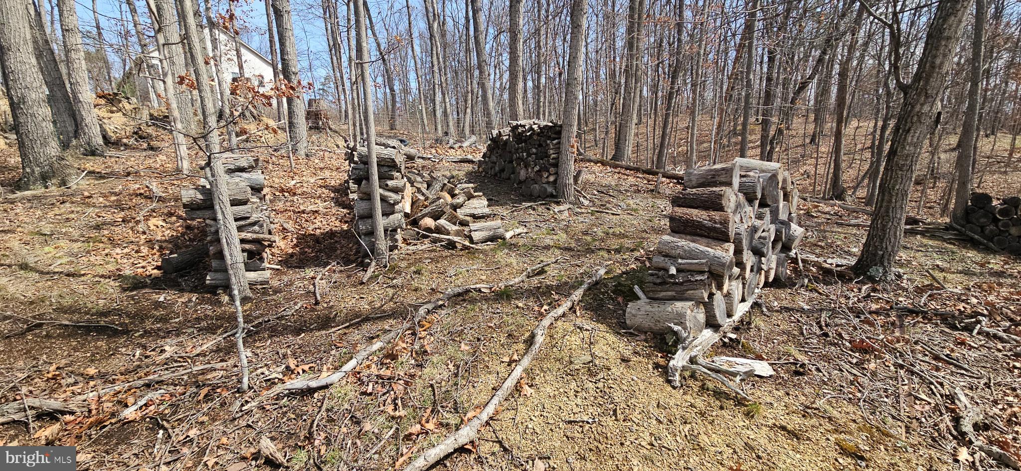 1079 Gun Club Road Stephenson, VA 22656 - Photo 22 of 33