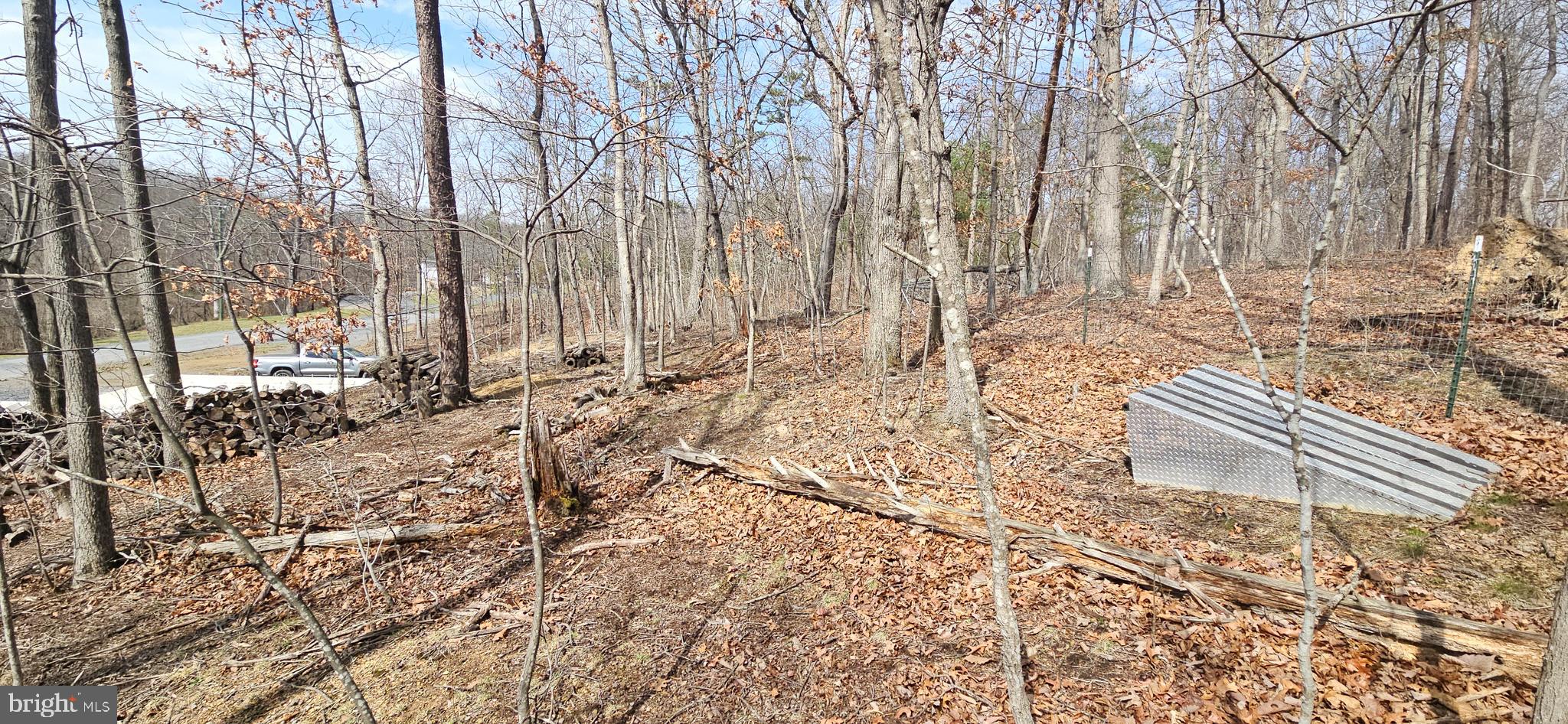 1079 Gun Club Road Stephenson, VA 22656 - Photo 23 of 33