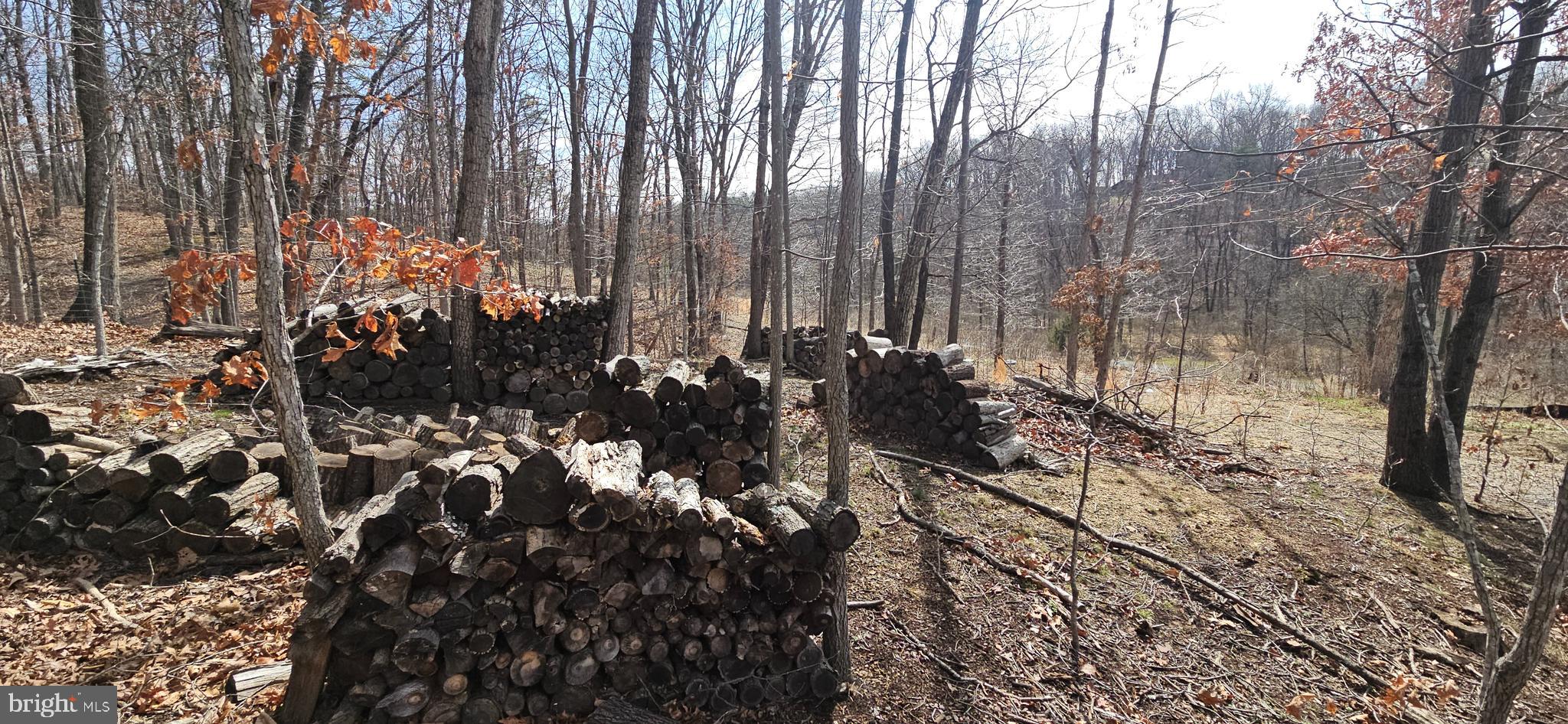 1079 Gun Club Road Stephenson, VA 22656 - Photo 25 of 33